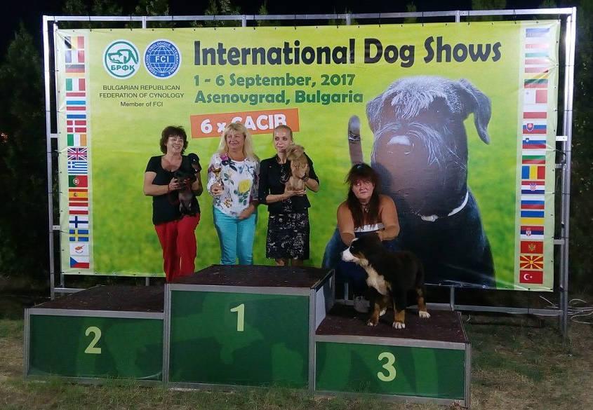 IDS Asenovgrad, 03/09/2017 - Canis Formula Augustus Molto promettente, BOB Puppy, 2 BIS Puppy